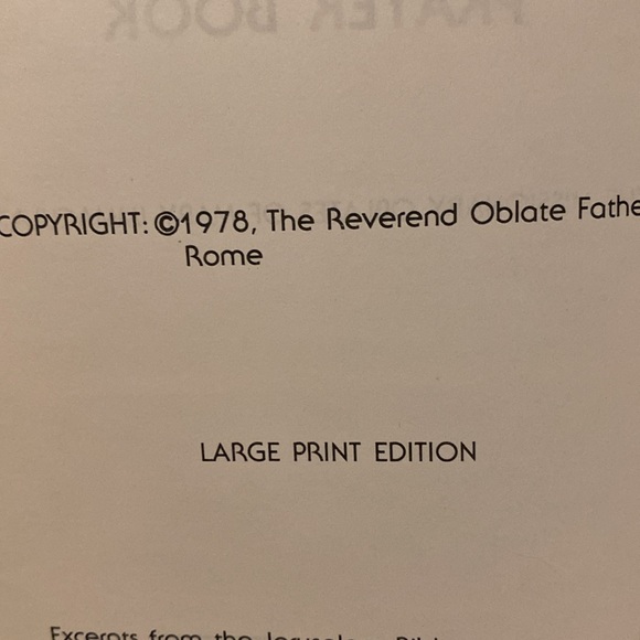 The Shrine’s Large Print Everyday Prayer Book - Picture 3 of 5